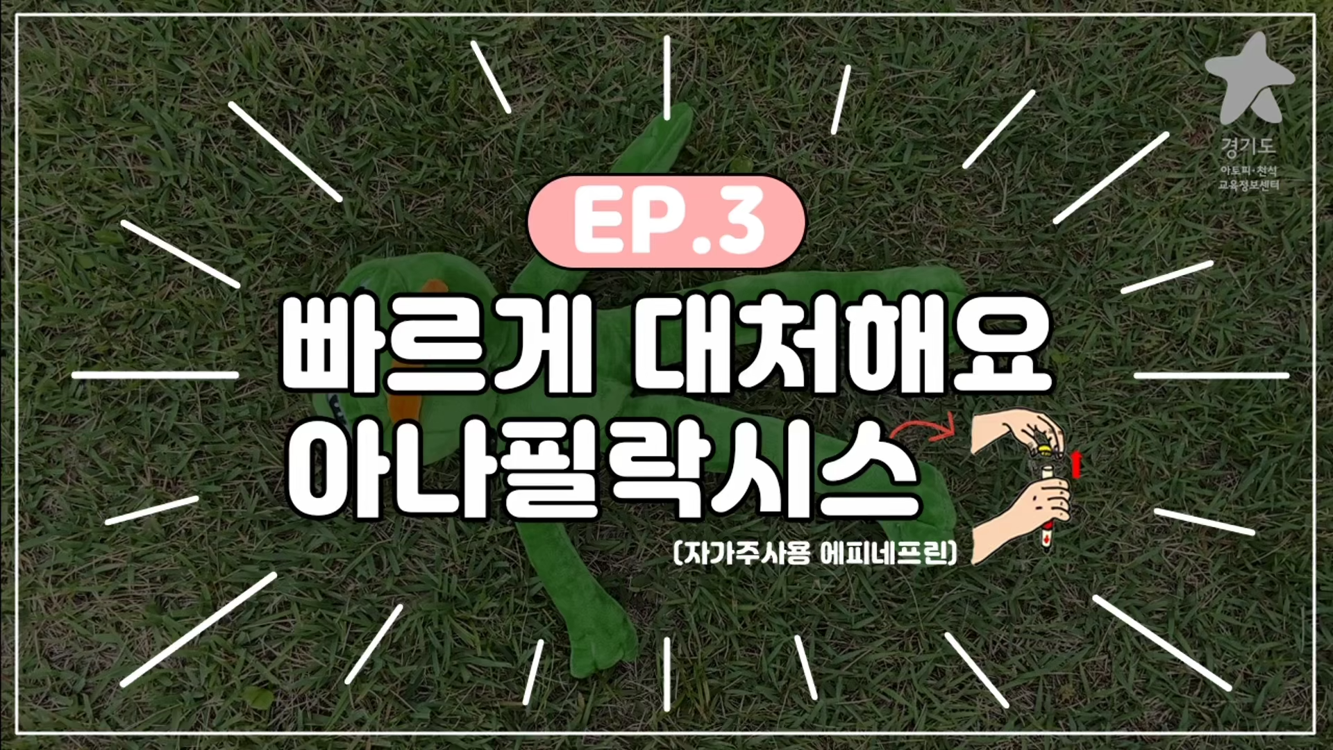 갤러리